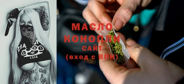 мдпв Новозыбков