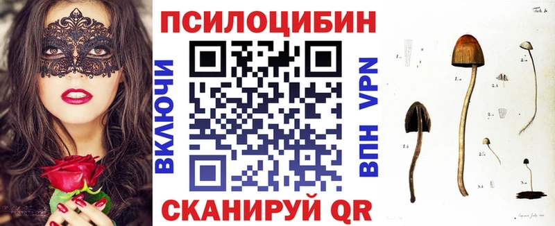 Галлюциногенные грибы мицелий  Константиновск 